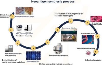 专访新合生物丨新抗原预测准确率高达70%，基于AI+mRNA技术开发肿瘤新抗原疫苗，联合疗法或将成为主流方案