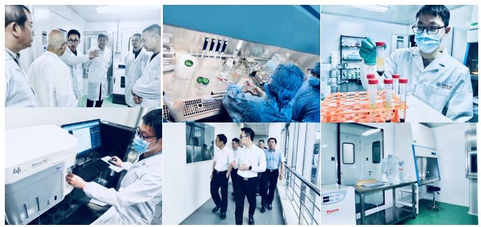 荣泽生物集团启动IPO辅导 细胞与基因技术转化进入加速期
