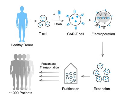 峰客专访邦耀生物 新一代细胞治疗技术通用型CAR-T，大势所趋！